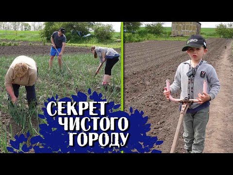 Видео: 🇺🇦Секрет ЧИСТОГО городу. Люди ще тільки садять, а ми вже з бур'яном боремось!