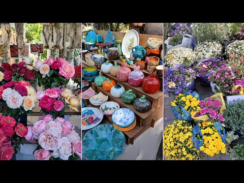 Видео: САДОВАЯ ЯРМАРКА "ФЕЕРИЯ ЦВЕТОВ" В ПАРКЕ В. ЧЕРЕВИЧКИНА🌼🌷🌺🌸🏵РОСТОВ