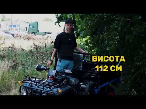 Видео: Вантажний Квадроцикл FORTE ATV250BS-T
