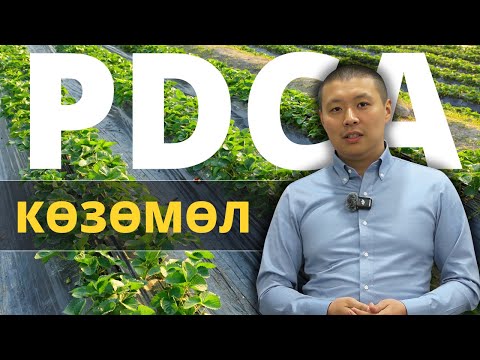 Видео: Агробизнести кадам сайын жакшыртуунун формуласы | Тилек Токтогазиев
