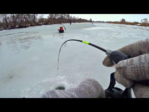 Видео: ТАКОГО Я НЕ ОЖИДАЛ. УТРЕННИЙ ЖОР ЩУКИ В ЗАТУМАНЕННОМ ДЕРЕВЕНСКОМ ПРУДУ Рыбалка на балансир и жерлицы