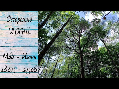 Видео: #29 Осторожно Vlog - (18.05 - 25.06) 25г - ВСТРЕЧАЕМ ЛЕТО 