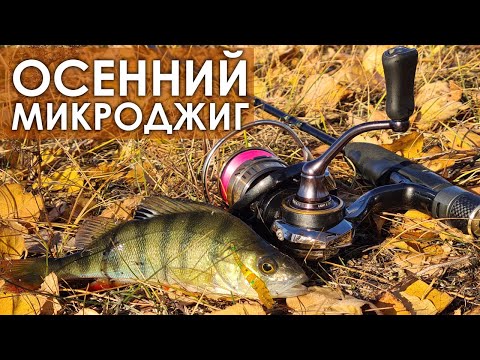 Видео: За осенним окунем🍁 Микроджиг с Arion 702ULS