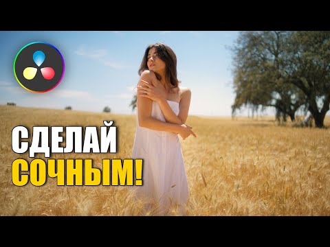 Видео: DaVinci Resolve: Сделай видео эффектным без плагинов ✅