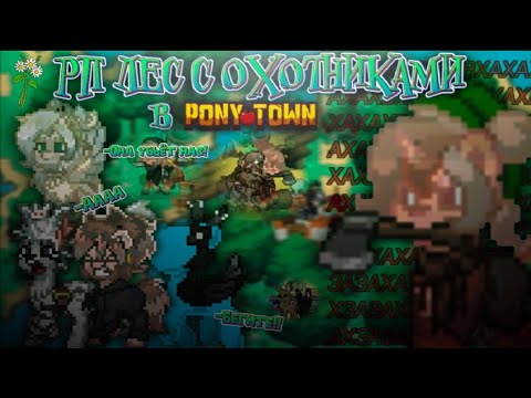 Видео: 🍄🍄 попᴀлᴀ в ᴘп лᴇс с оχотникᴀми | зᴀᴘʏҕилᴀ всᴇχ животныχ | пони тᴀʏн 🍄🍄