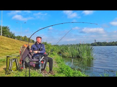 Видео: Эти Рыбы Гнут Удилище! Вот Это Ощущение От Рыбалки Осенью.