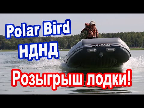 Видео: Обзор надувной лодки ПВХ Polar Bird НДНД! Overview of the Polar Bird PVC Inflatable Boat!