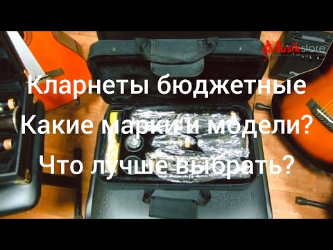 Видео: Кларнеты. Где купить кларнет и как выбрать для начала? Обзор моделей от Мьюзик-Стор | musik-store.ru