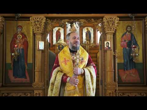 Видео: Апостол Павел и его опыт обретения веры