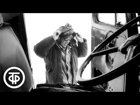 Видео: Трассы Харасавэя. О работе водителей на полуострове Ямал (1978)