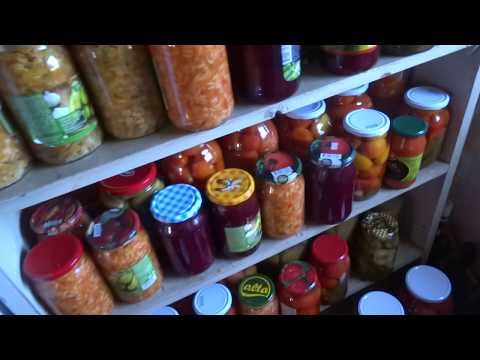 Видео: Из города в деревню / Сентябрьский влог / Огород, куры, индюки, козы