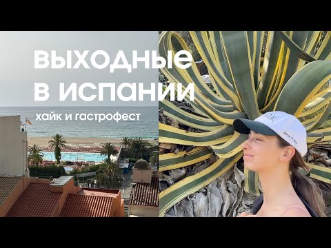 Видео: Хайкинг, любимая пекарня, дизайн-магазин и гастрофест в Барселоне 🥨🛵
