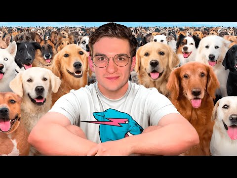 Видео: ЭВЕЛОН СМОТРИТ MRBEAST: Я Нашел Дом 100 Собакам! / EVELONE РЕАКЦИЯ