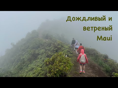 Видео: Гавайи. Второй сезон. Мауи.