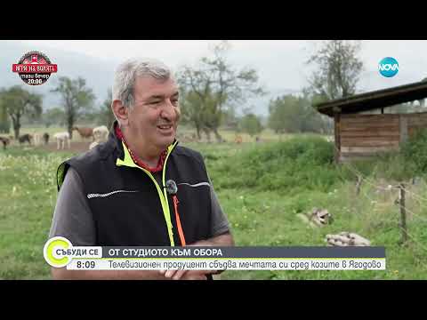 Видео: От студиото към обора  Телевизионен продуцент сбъдва мечтата си сред козите в Ягодово