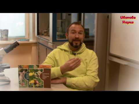 Видео: 10 мер и даже больше против слизней! Как избавиться от слизней на садовом участке.