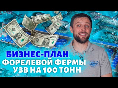 Видео: Видео БИЗНЕС ПЛАН форелевой ФЕРМЫ УЗВ на 100 ТОНН В ГОД | Чем ПЕРСПЕКТИВЕН рыбоводный БИЗНЕС?