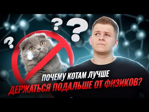 Видео: Основное уравнение МКТ за 5 минут | Физика ЕГЭ 2026  | Умскул
