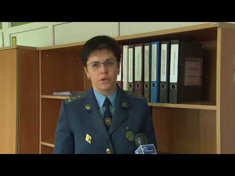 Видео: О работе ПТО "Пинск-Белтаможсервис"