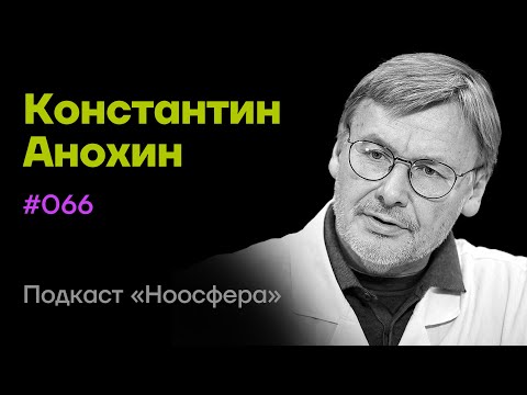 Видео: Константин Анохин: Сознание, мозг, теория когнитома | Подкаст «Ноосфера» #066