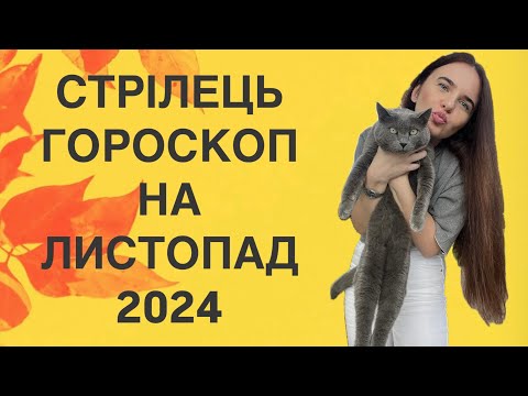 Видео: СТРІЛЕЦЬ - ГОРОСКОП на ЛИСТОПАД 2024 року - ASTRO NEWS LYUBOV