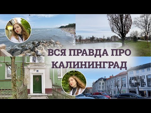 Видео: Калининград: зарплаты в it, стоматология, эстетическая косметология, насекомые, сырость, море