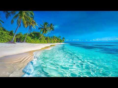 Видео: Нежная музыка, успокаивает нервную систему и радует душу – целебная музыка для сердца и сосудов.