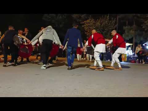 Видео: Зурни Разлог в село Дългач