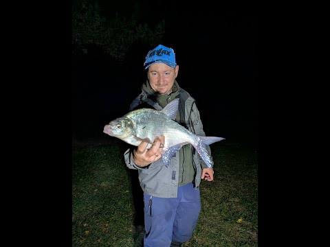 Видео: Ловля ночного леща на поплавок