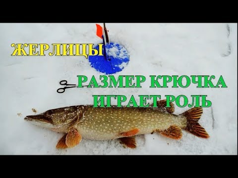 Видео: ЩУКА НА ЖЕРЛИЦЫ///РАЗМЕР КРЮЧКА ИМЕЕТ ЗНАЧЕНИЕ