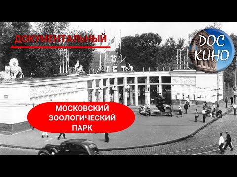 Видео: 🎭 МОСКОВСКИЙ ЗООЛОГИЧЕСКИЙ ПАРК🌎 ДОКУМЕНТАЛЬНОЕ КИНО 🎆 2014