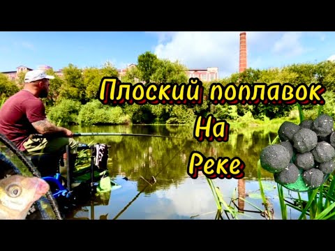 Видео: Рыбалка на Клязьме. Ловля на плоский поплавок #рыбалка