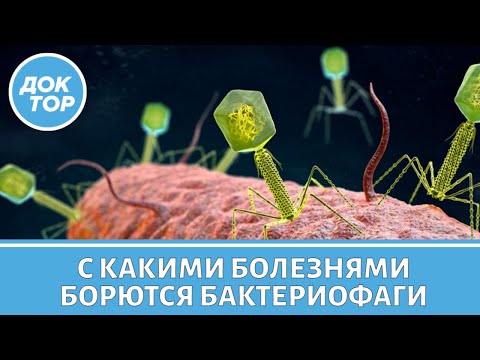 Видео: Бактериофаги — новое оружие в борьбе с болезнями