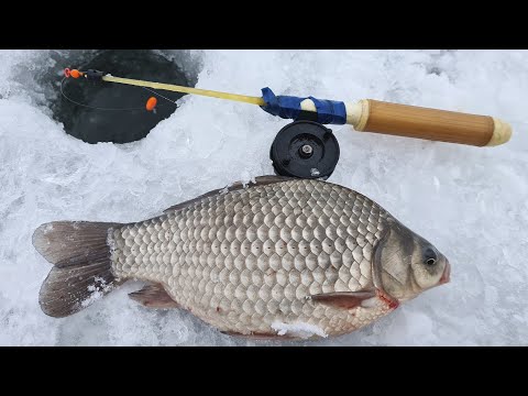 Видео: Чуть не Утащил удочку! Ловля Крупного Карася на поплавок! Рыбалка зимой
