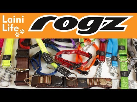 Видео: Обзор всех ошейников ROGZ для собак | HAUL