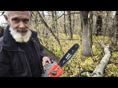 Видео: ЗАРЯДИЛИ🔋 ТА ВЛАШТУВАЛИ ЛІСОПОВАЛ. РЕАЛЬНІ МОЖЛИВОСТІ ЕЛЕКТРОПИЛИ ABS professional. 