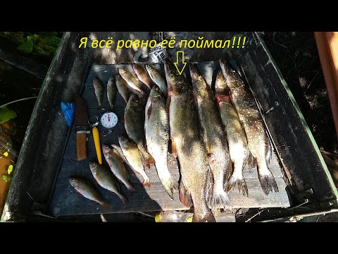 Видео: Рыбалка.Спиннинг.Чебоксарское водохранилище!!!