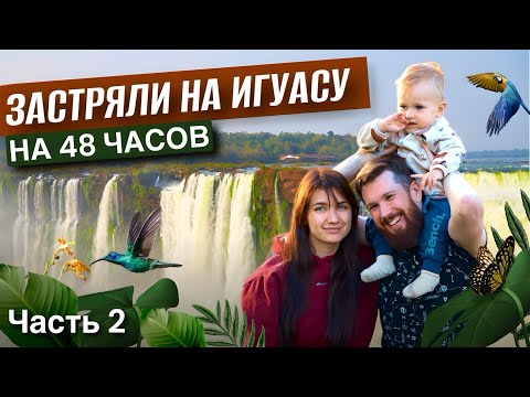 Видео: Пуэрто-Игуасу. Застряли на 48 часов. Зоопарк Guira Oga, парк La Aripuca, Глотка дьявола. Часть 2.