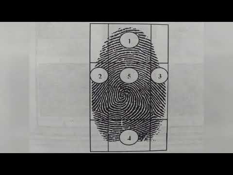 Видео: Кашенов М Е. Дактилоскопия: история развития и основные этапы становления.
