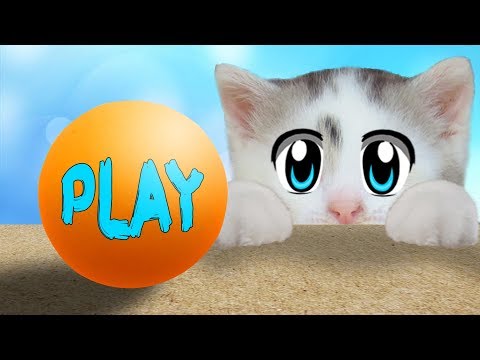 Видео: ПРИКОЛЫ с КОТАМИ! КОТ МАЛЫШ И КОШЕЧКА МУРКА! Новые игры с котами и самые смешные приколы
