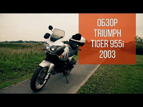 Видео: TRIUMPH Tiger 955i. САМЫЙ недооценённый тур-ЭНДУРО (обзор)