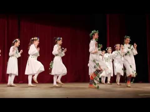 Видео: Пеперуда