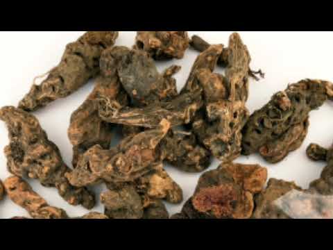 Видео: Калган для мужчин Корень калгана для мужчин польза