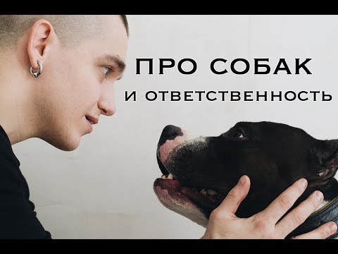 Видео: 9. Андрей Дед про амстаффа, собак и ответственность