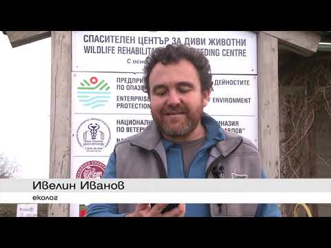 Видео: Oт зоопарка в Нидерландия до природен парк Сините камъни