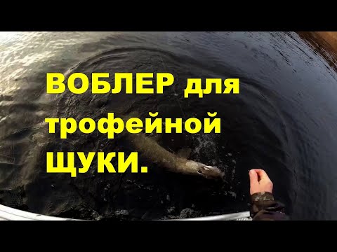 Видео: Обзор воблера TsuYoki Draga 130 SP. Воблер для трофейной щуки.