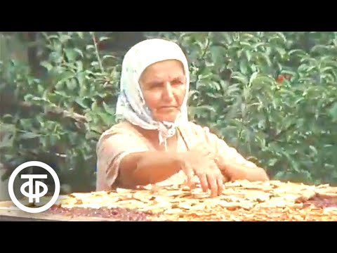 Видео: Общественное и личное в колхозе. Новости. Эфир 17 августа 1979