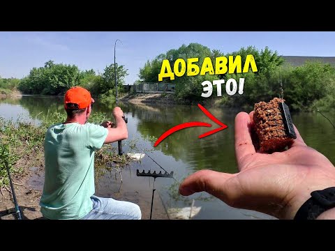 Видео: ДОБАВИЛ ЭТО В ПРИКОРМКУ и не успеваю ловить леща на два фидера! Рыбалка.