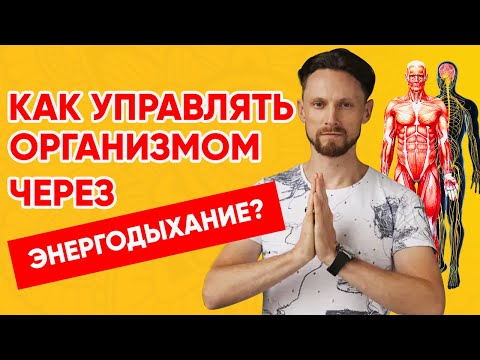 Видео: Управляем гормональной системой : Энергодыхание