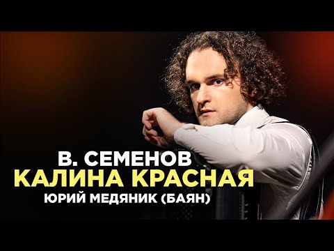 Видео: КАЛИНА КРАСНАЯ - ЮРИЙ МЕДЯНИК И НАРОДНЫЙ ОРКЕСТР КУРСКОЙ ФИЛАРМОНИИ